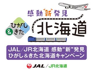 JAL×JR北海道タイアップ】～2月出発！絶景北海道！流氷・温泉！感動