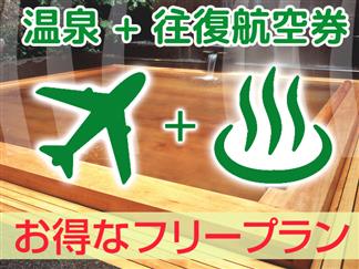 往復航空券 宿泊 2 5月 充実した機内wifiが無料の往復jal便利用 予約時に利用便確定 Jalマイレージもたまるフリープラン 定山渓温泉 定山渓ビューホテル1泊4日 Null旅行を予約するなら格安国内旅行のオリオンツアー
