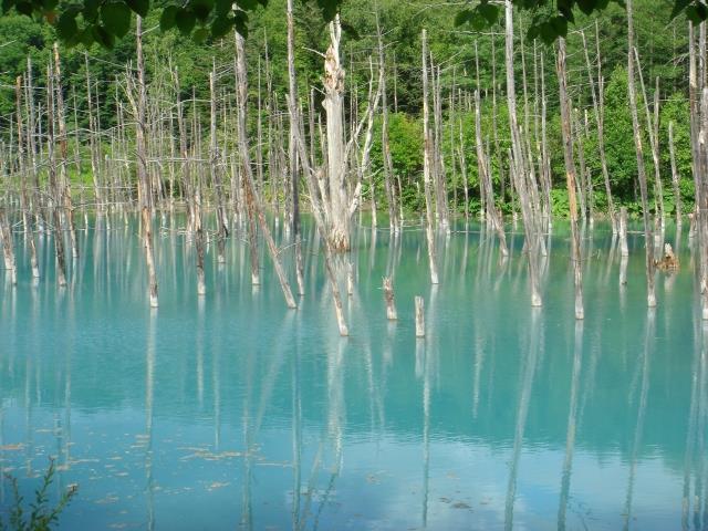 青い池（観光イメージ）