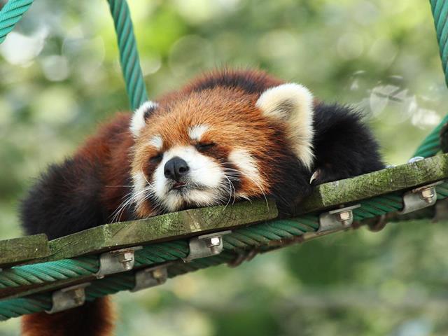 旭山動物園（観光イメージ）