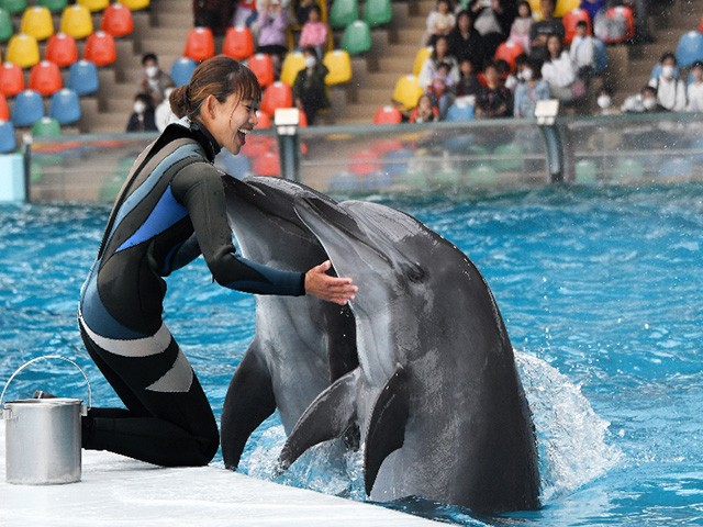 マリンライブ（イメージ）