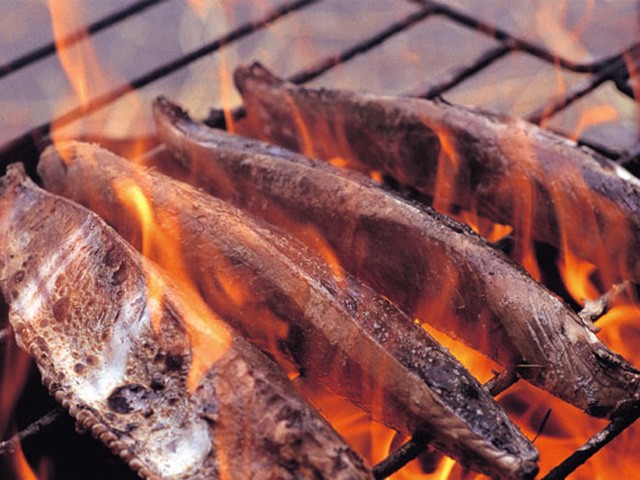 《高知》かつお（イメージ）