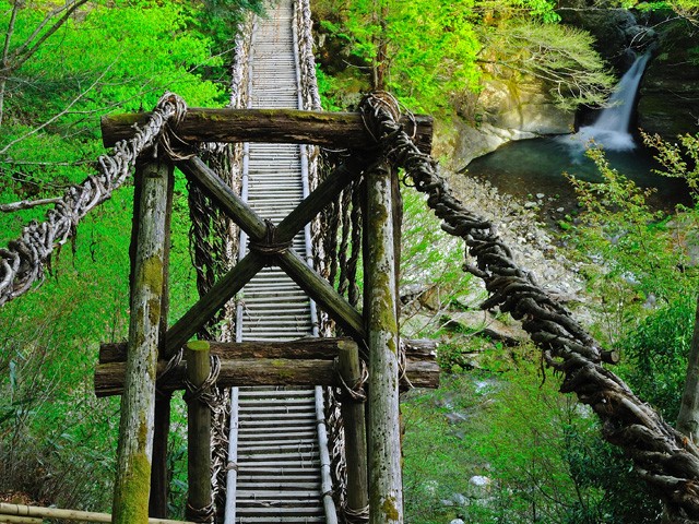 《徳島》祖谷のかずら橋（観光イメージ）