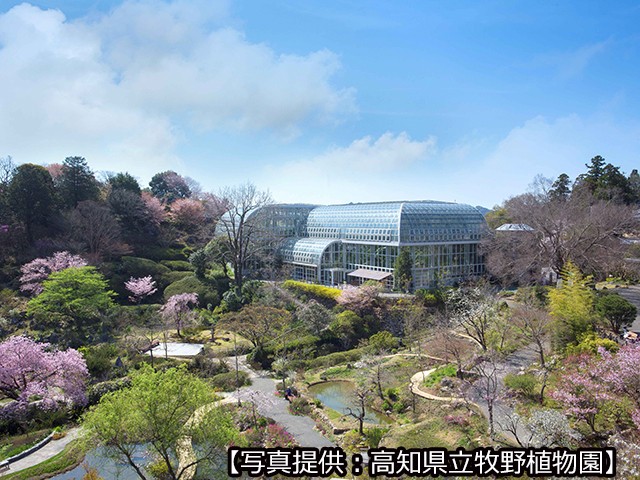 高知県立牧野植物園（イメージ）