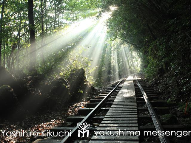 トロッコ道　イメージ