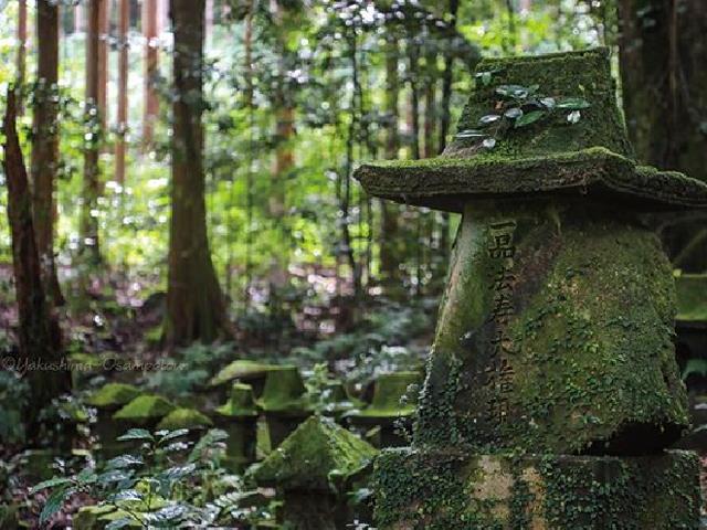 牛床詣所　イメージ