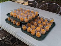 会場にてお一人様1つカットマンゴーをプレゼント