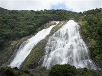 大川（おおこ）の滝