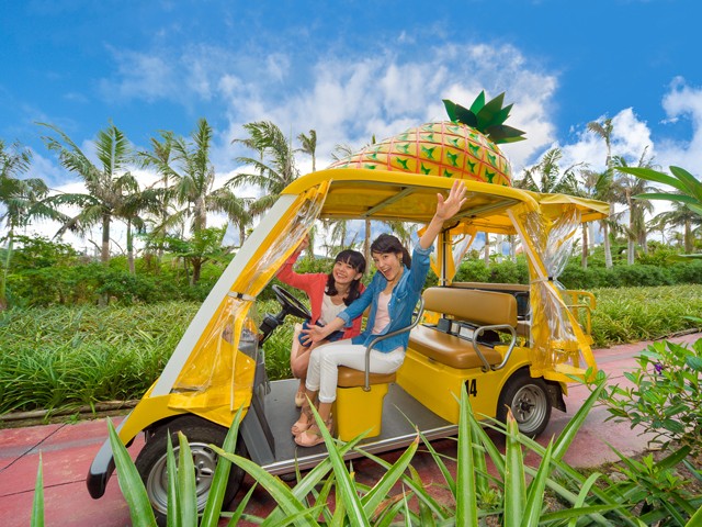 ナゴパイナップルパーク（滞在50分）
