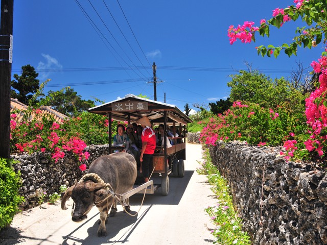 竹富島（イメージ）