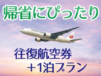 1月7日発 鹿児島→羽田 航空券