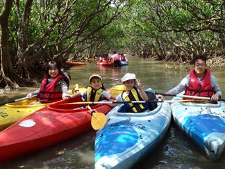羽田発 マングローブカヌー体験付き ジャングルのような原生林を探検 安定性の優れたカヌーでお子様もカンタン 展望露天風呂 サウナ付大浴場完備 奄美 山羊島ホテル3泊4日 フリープラン Null旅行を予約するなら格安国内旅行のオリオンツアー