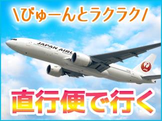 伊丹空港〜奄美大島までの航空券