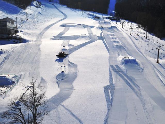 夜発バス 地獄谷温泉散策 湯田中温泉日帰り観光付 竜王スキーパーク お宿おまかせプラン 地獄谷温泉観光付 1泊3日 新宿 関東 発竜王スキーパークへのスキーツアー スノボツアーを予約するならオリオンツアー