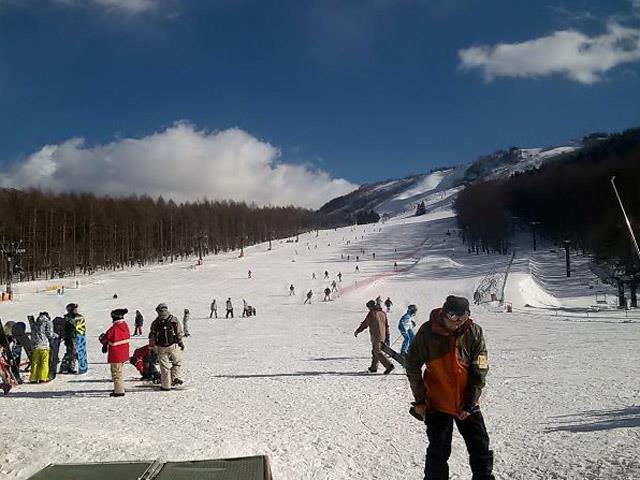 ○在庫セール【横浜発着】朝発日帰り しらかば2in1スキー場 | 新宿