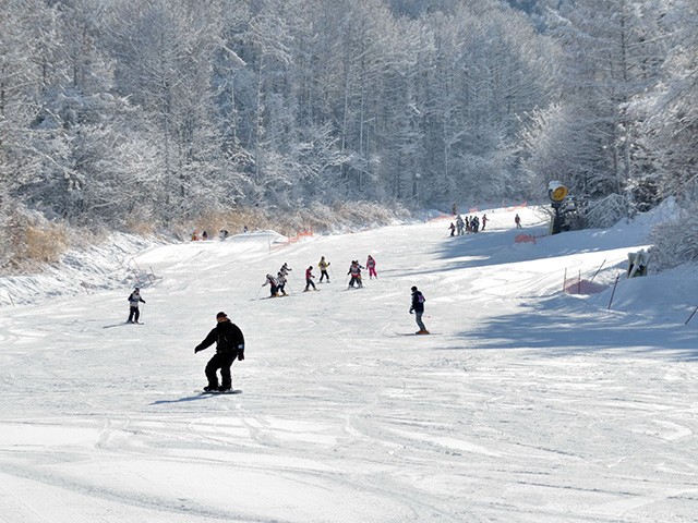 ○【池袋西口発着Cタイム】朝発日帰り 佐久スキーガーデンパラダ【滞在