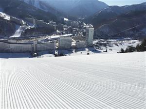 マイカー 苗場 ロッジひとみ 1泊2日 新宿 関東 発mt naeba 苗場 かぐら共通 へのスキーツアー スノボツアーを予約するならオリオンツアー