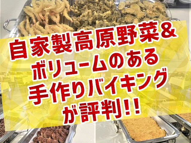 ■●マイカー　菅平高原パインビークスキー場　菅平イナリールホテル