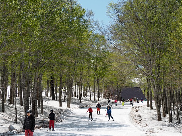 初すべり！☆リフト券付 「時間指定」指定席利用 新幹線で行く日帰り