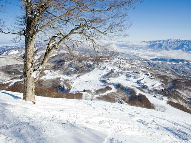 ◇選べるリフト券＆レンタル＆ウェア付！【時間帯枠/指定席利用】北陸