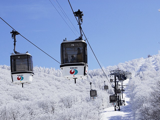 野沢温泉スキー場 リフト1日1枚 野沢温泉スキー場 リフト＆ゴンドラ1日券 | If-1 | 店舗型ふるさと納税