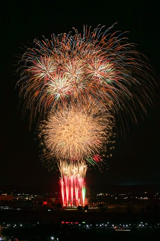 土浦全国花火競技会 夜空一面に広がる黄金のしだれ柳花火