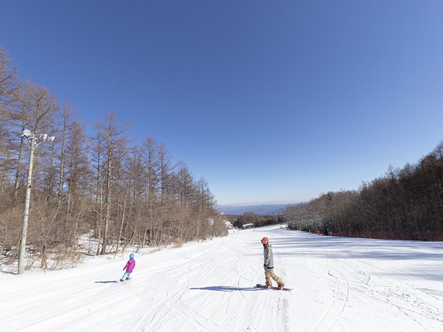 ■●マイカーで行く　シャトレーゼスキーバレー小海　日帰りプラン（リフト券＋レンタル）