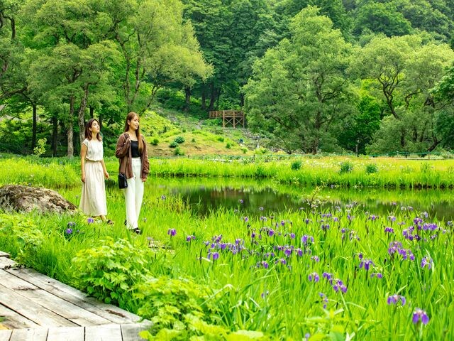 湯沢高原 パノラマ