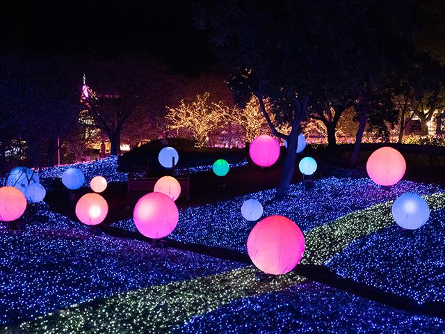 山梨・神奈川】ラストオータムSALE！ 輝く光の祭典♪関東三大最大