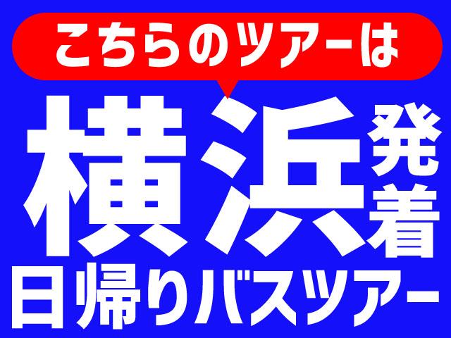 Go To トラベル対象商品 横浜発 静岡 空中絶景 富士を眺める２大スポット 日本一の大吊橋 三島スカイウォーク と360度の大パノラマ 富士見テラス 高級マスクメロン１玉狩り 横浜駅発静岡バスツアー 日帰りバスツアーを予約するならオリオンツアー