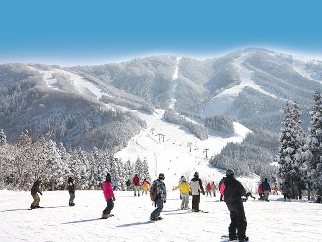 名古屋発＞朝発日帰り 初心者歓迎・手ぶらでOKバスでラクラク絶景雪山