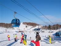 札幌ステイ】サッポロテイネスキー場日帰りスキーツアー付（リフト券付 