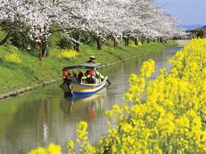 滋賀 水郷めぐりと近江牛ステーキの夕食付 日帰りバスツアー