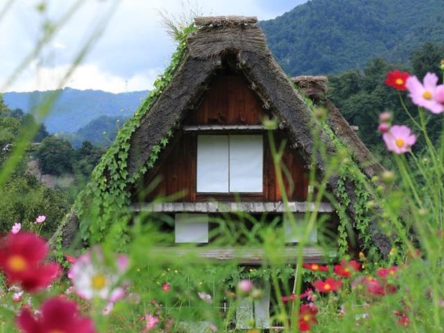 オリオンツアー人気コース 自由昼食のお値打ちプラン インスタジェニック世界遺産 白川郷合掌 集落と飛騨高山ゆっくり食べ歩き自由気ままにご当地グルメを満喫日帰りバスツアー 名古屋発岐阜バスツアー 日帰りバスツアーを予約するならオリオンツアー