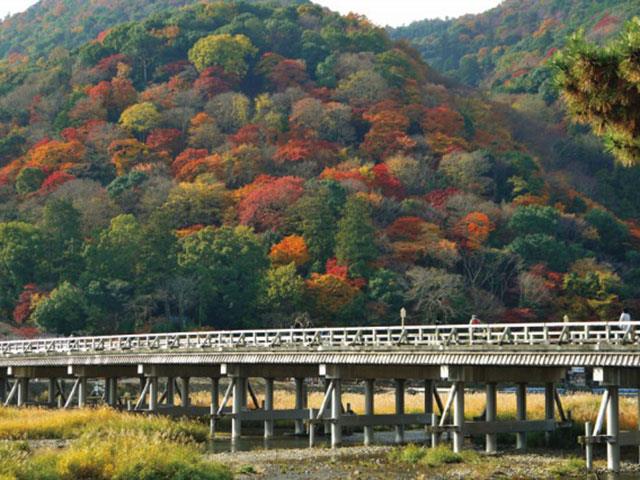 嵐山で昼食付 秋の京都で紅葉観賞 嵯峨野トロッコ列車と鈴虫寺へ行く日帰りバスツアー 250 名古屋発京都バスツアー 日帰りバスツアー を予約するならオリオンツアー