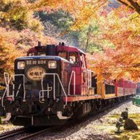 嵯峨野トロッコ列車と 世界遺産 高山寺へ行く日帰りバスツアー a 名古屋発京都バスツアー 日帰りバスツアーを予約するならオリオンツアー