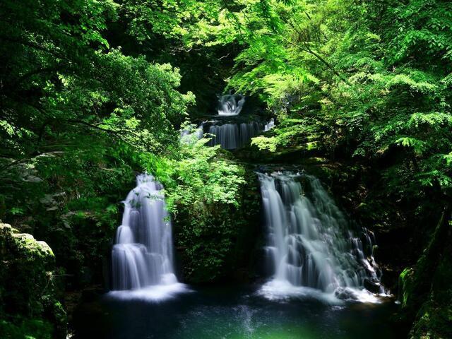 名古屋発】赤目四十八滝ハイキング！ JPNAKS90 | 名古屋発三重,伊賀