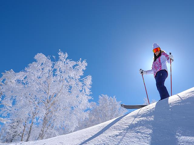志賀高原（横手山・渋峠エリア）