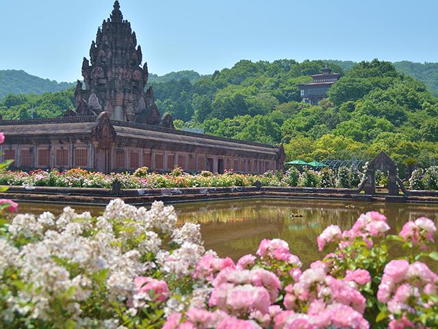香川県 噛めば もちっと 讃岐うどんの名店二つと四国最大級 春の大バラまつり レオマリゾート 次世代型水族館 四国水族館 新大阪発香川バスツアー 日帰りバスツアーを予約するならオリオンツアー