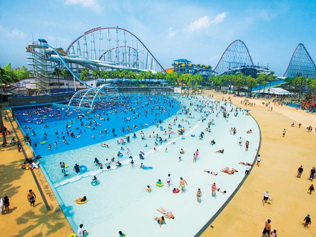 Sekigahara花伊吹 日帰りバスツアー 関西 大阪発 オリオンツアー