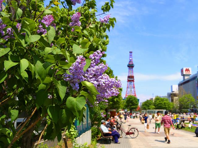 大通公園（観光イメージ）