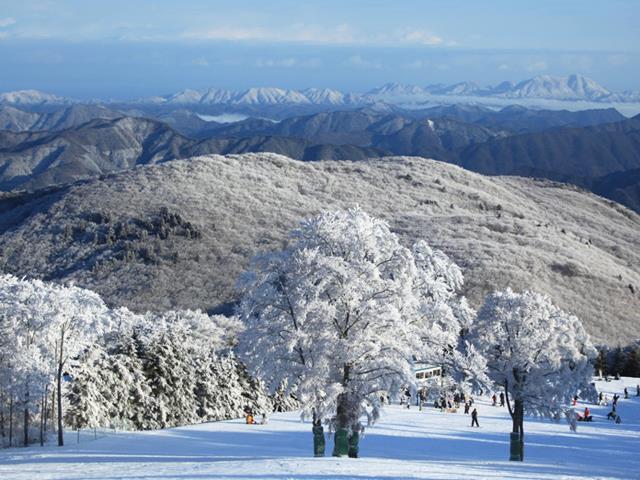 瑞穂ハイランド 瑞穂ハイランド 平日1日券 おまけ付き 送料無料 小人 リフト券 3時間分 ミズホハイランド 1日券