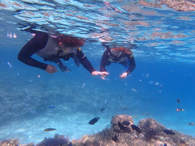 シュノーケリング