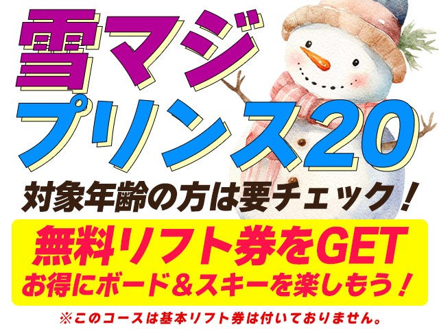●【リフト券なし】マイカー　Mt.Naeba　苗場　スプリングスホテル【朝食付】　