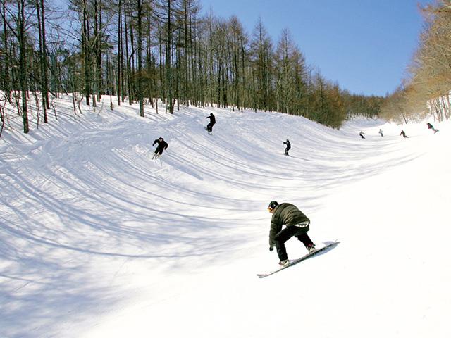 グランディ羽鳥湖スキーリゾート リフトセット券 手早く