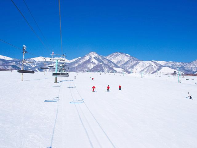【静岡駅発】夜発日帰り　つがいけマウンテンリゾート（栂池高原スキー場）・（出発2日前15時まで予約OK）