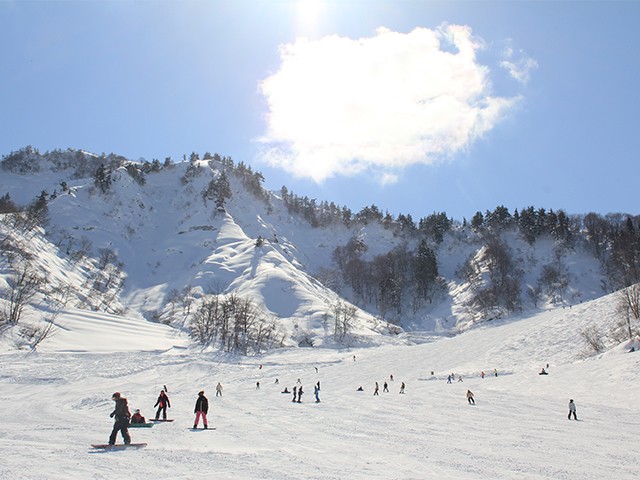 ■TI　マイカ－で行く　湯沢中里スノーリゾート　宿おまかせ　ロッジクラス【フリープラン】