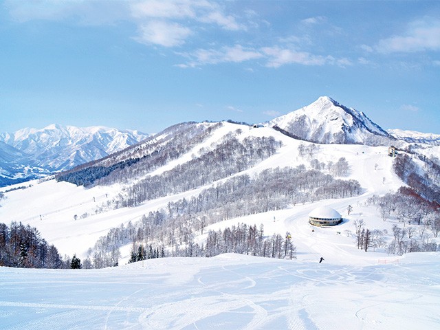 ■TIマイカーで行く  舞子スノーリゾート　宿おまかせ（ゲレンデサイドロッジクラス）【フリープラン】