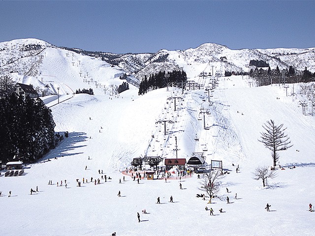 ■TI【新宿発着】夜発日帰り　上越国際スキー場