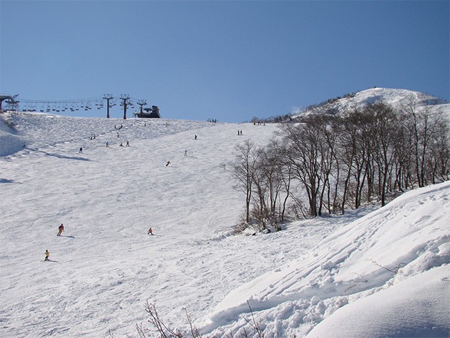 ■【長野駅発着】 朝発日帰り リフト1日券付　Hakuba47